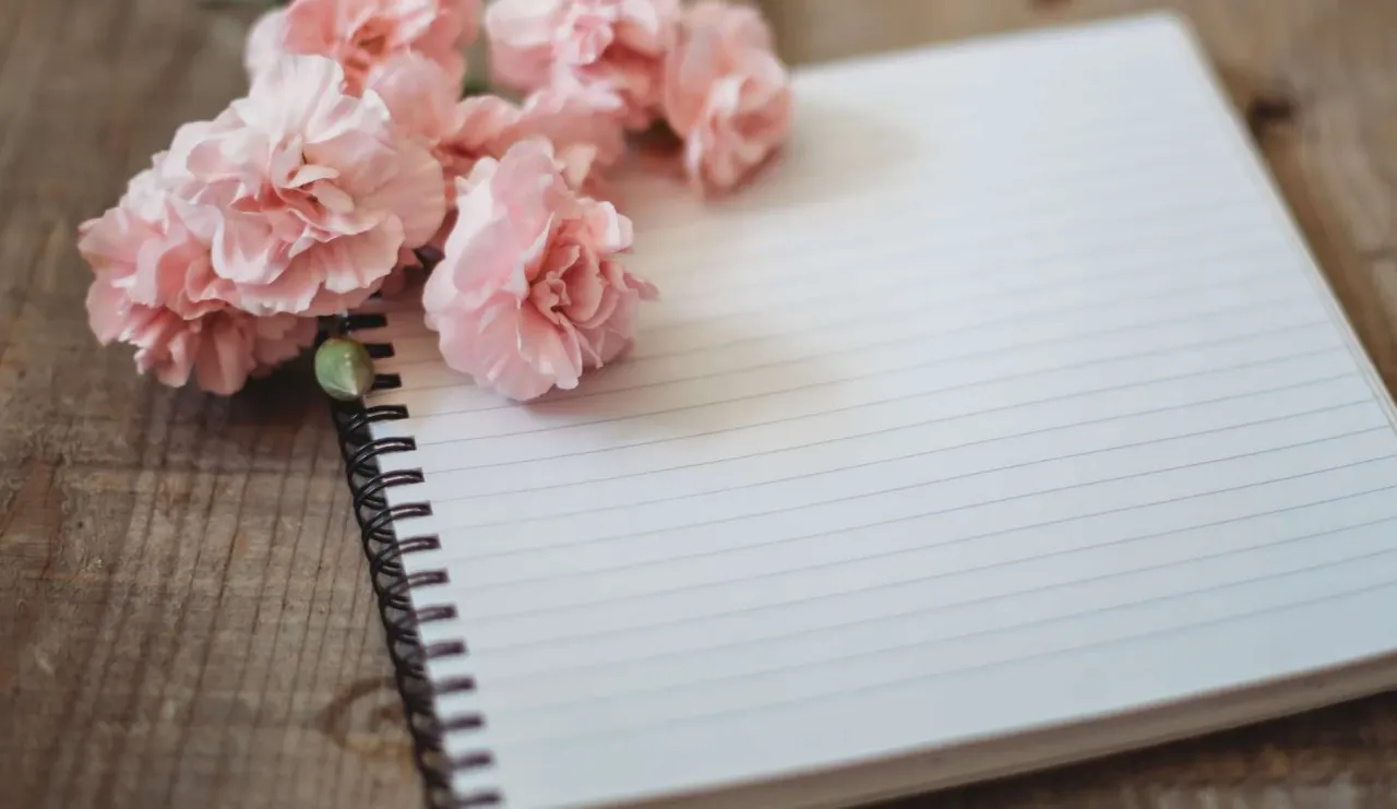2019 Blogging Recap