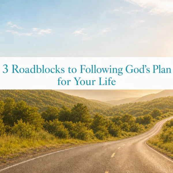 A sunlit road through green hills with turquoise title text about three roadblocks to following the plan of God for your life