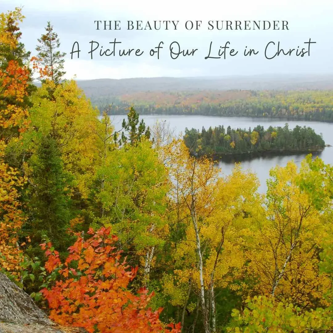The Beauty of Surrender: A Picture of Our Life in Christ