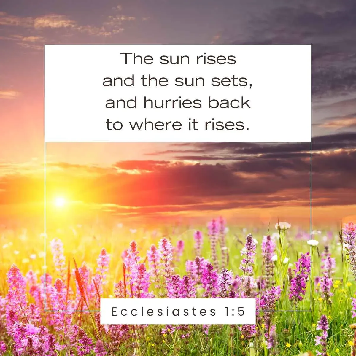 Ecclesiastes 1:5 Bible verse about the sun