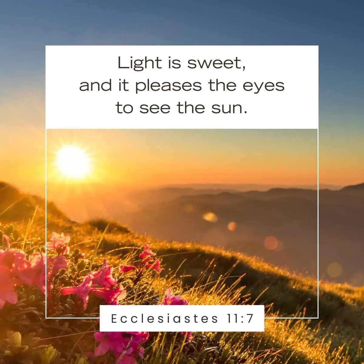 Ecclesiastes 11:7 — Bible verse about the sun