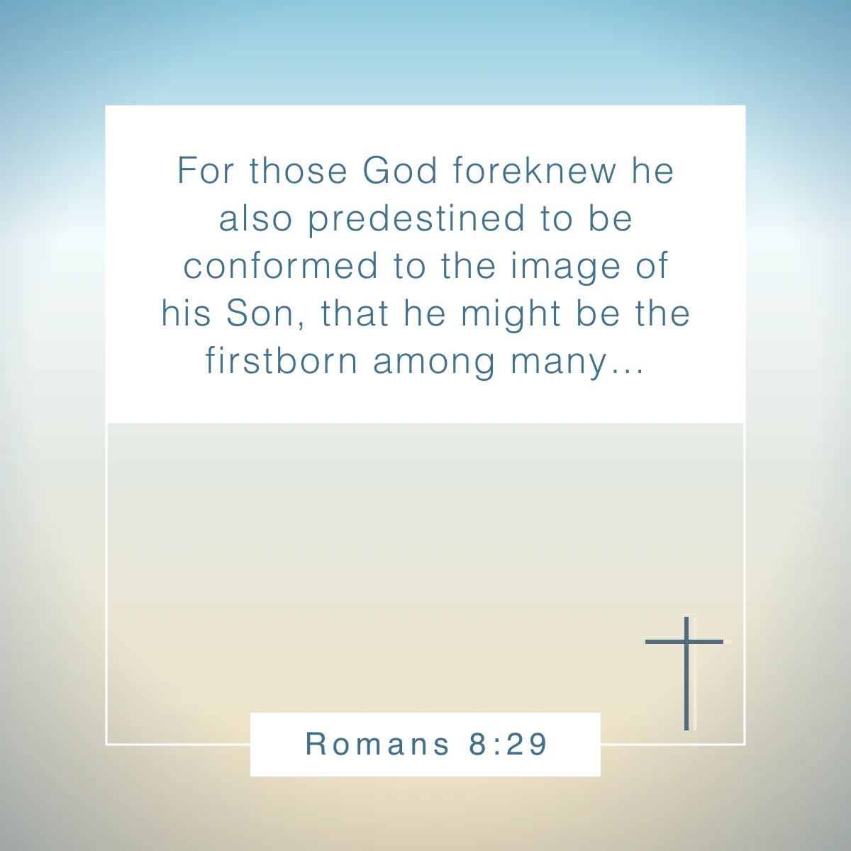 Romans 8:29 Bible verse about being unique