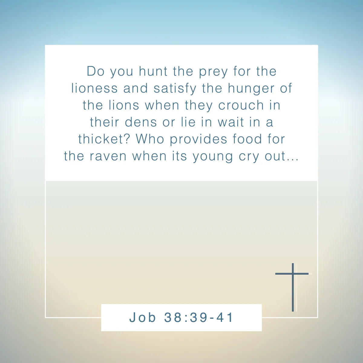 Job 38:39-41 Bible verse about celebrating God's creation in nature