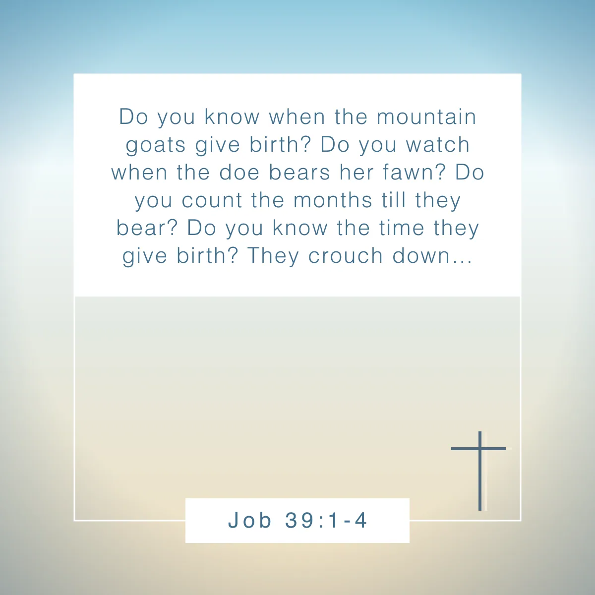 Job 39:1-4 Bible verse about celebrating God's creation in nature