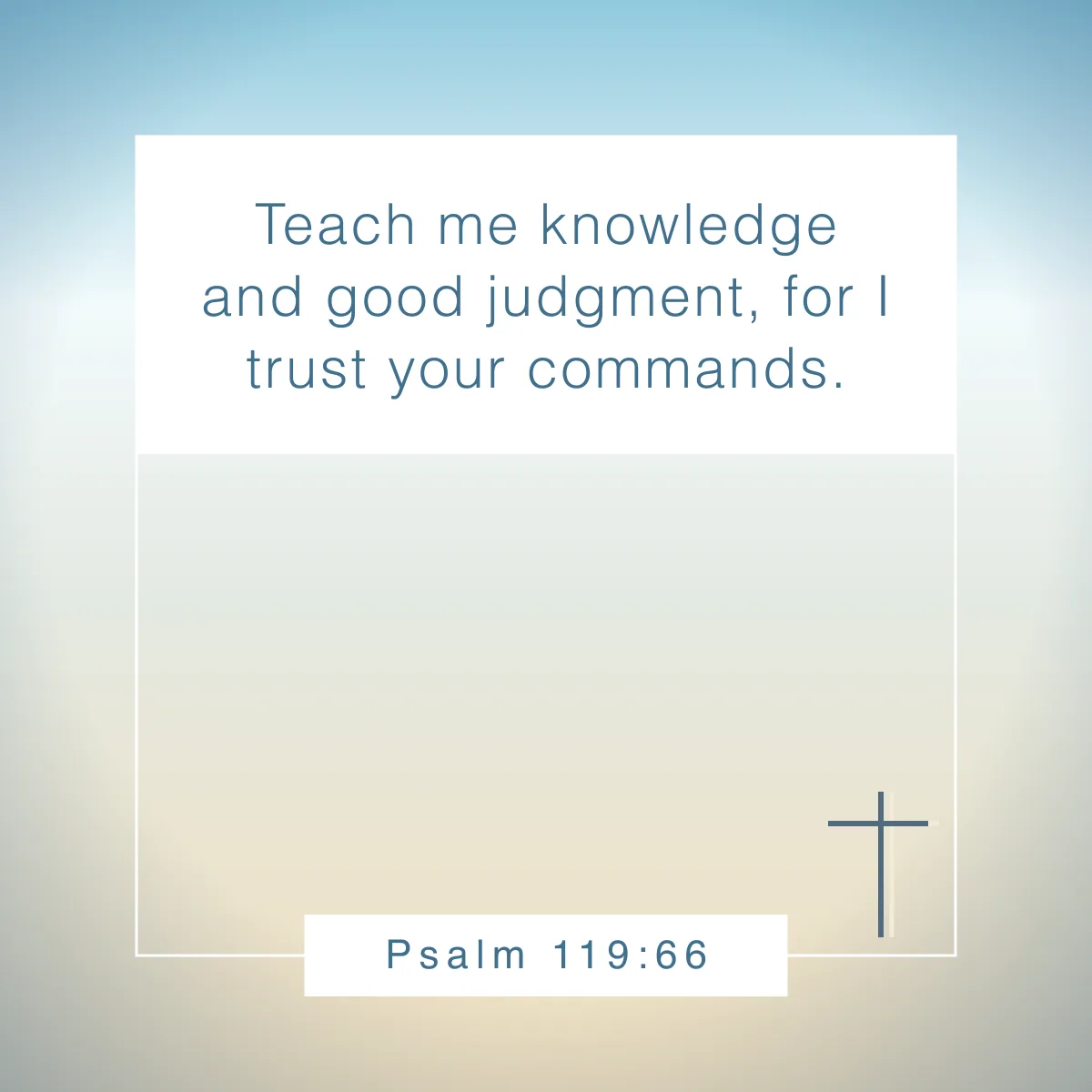 Psalm 119:66 Bible verse about discernment and wisdom