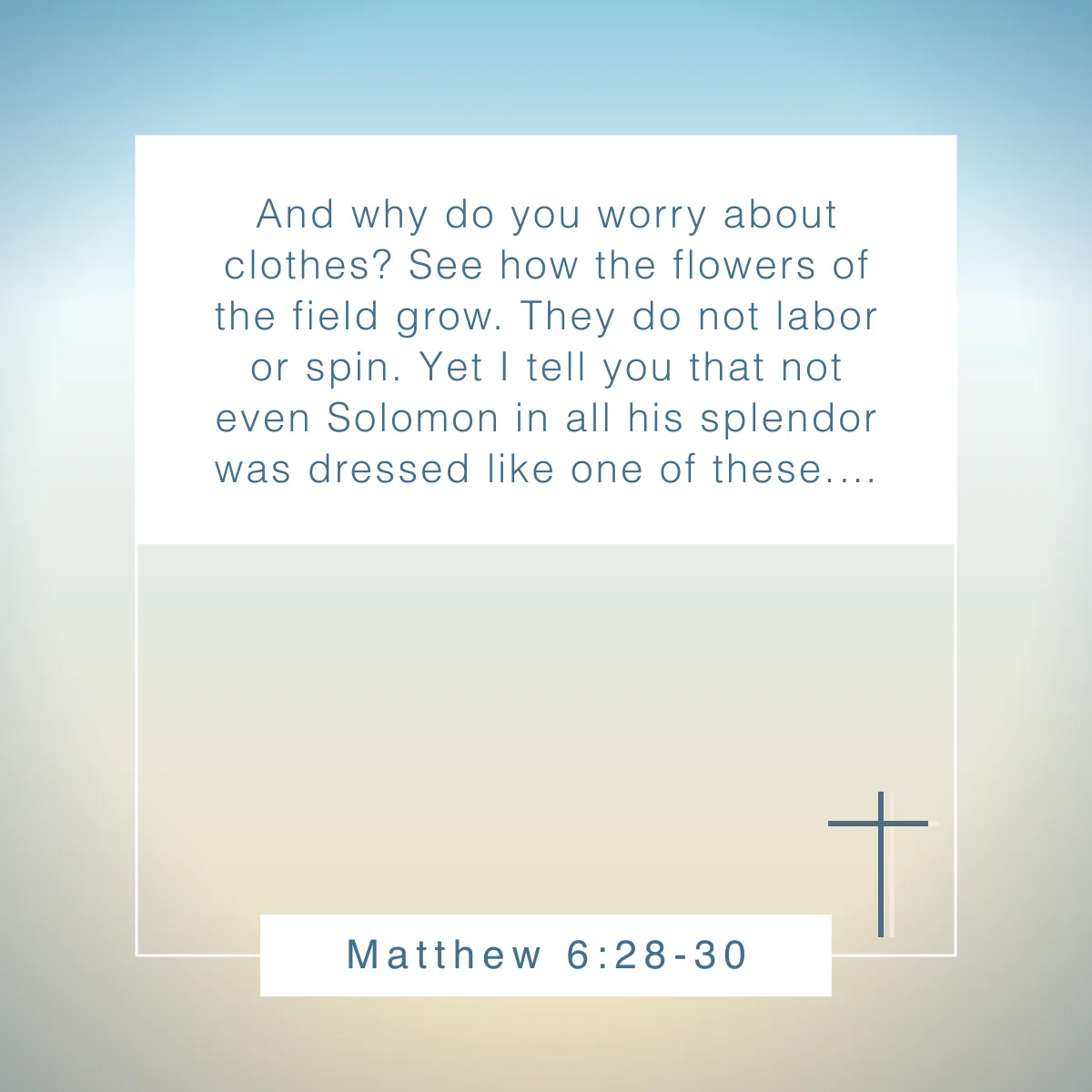 Matthew 6:28-30 Bible verse about flowers
