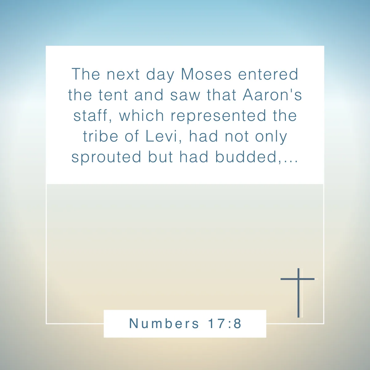 Numbers 17:8 Bible verse about flowers