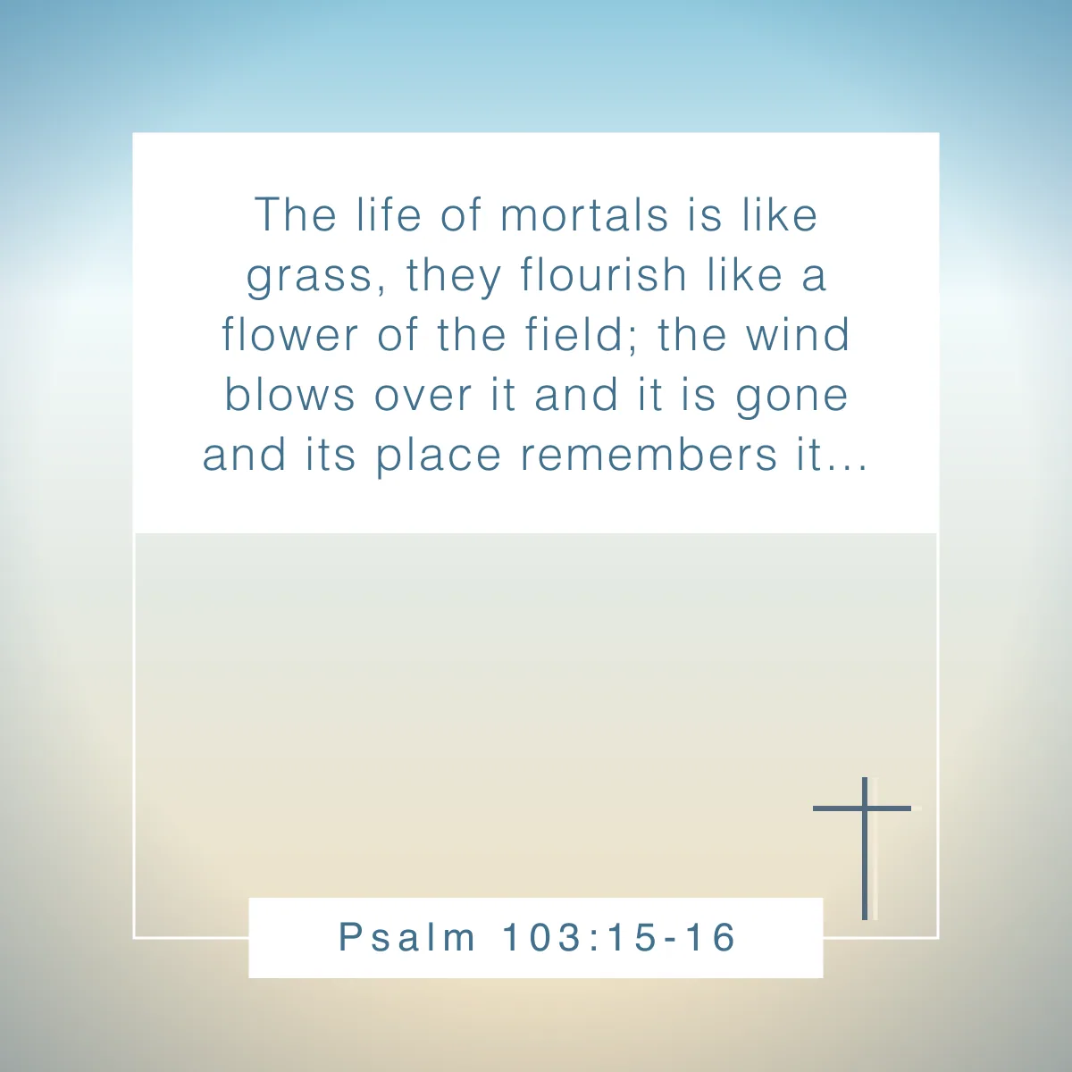Psalm 103:15-16 Bible verse about flowers