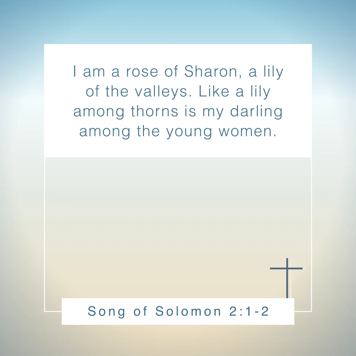 Song of Solomon 2:1-2 Bible verse about flowers