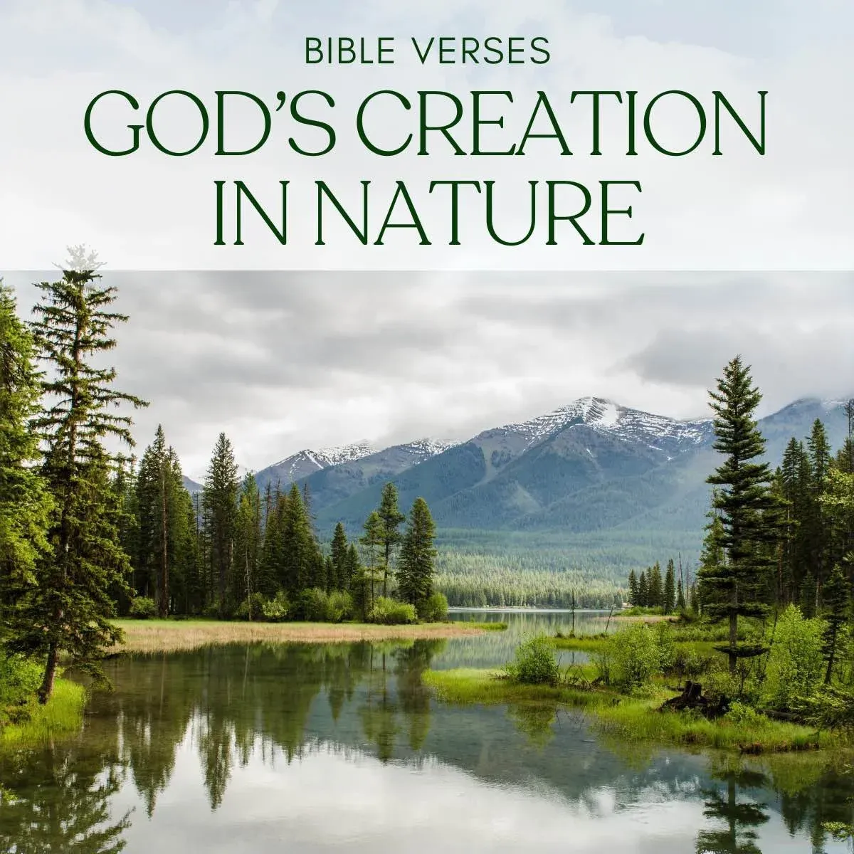 24 Inspiring Bible Verses Celebrating God's Creation in Nature