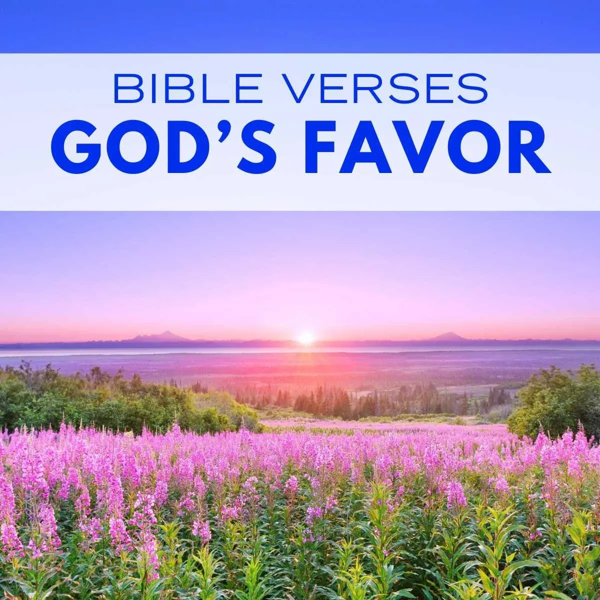 20 Bible Verses About God’s Favor