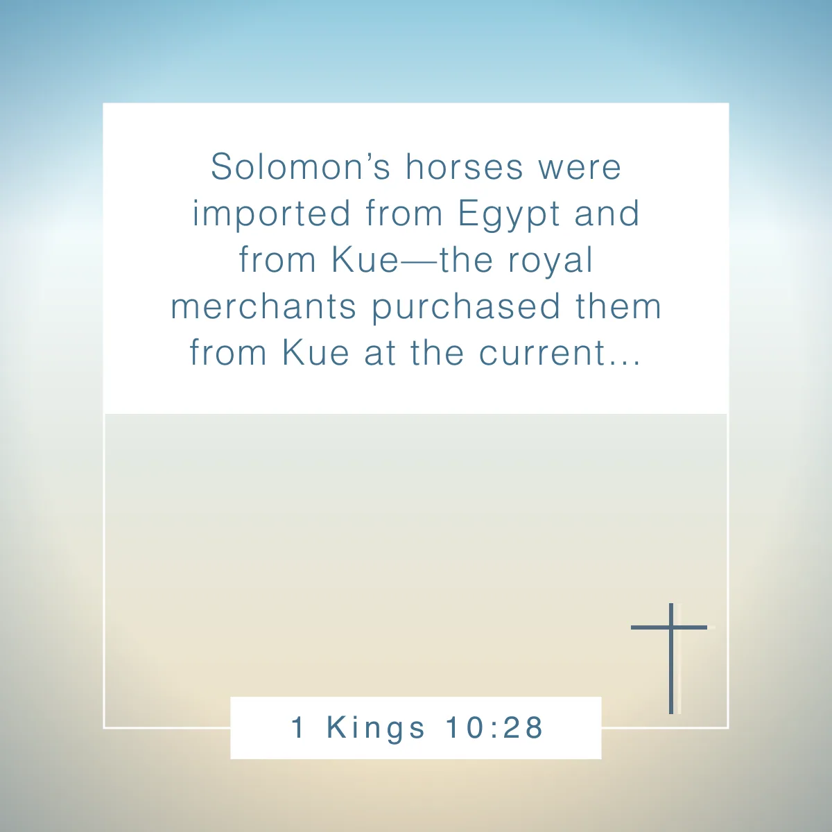 1 Kings 10:28 Bible verse about horses