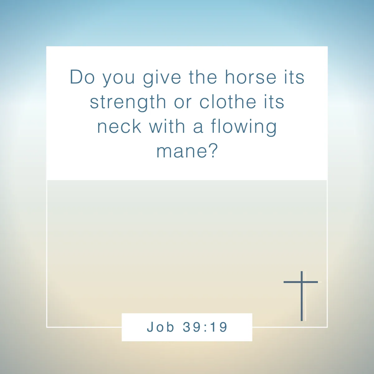 Job 39:19 Bible verse about horses