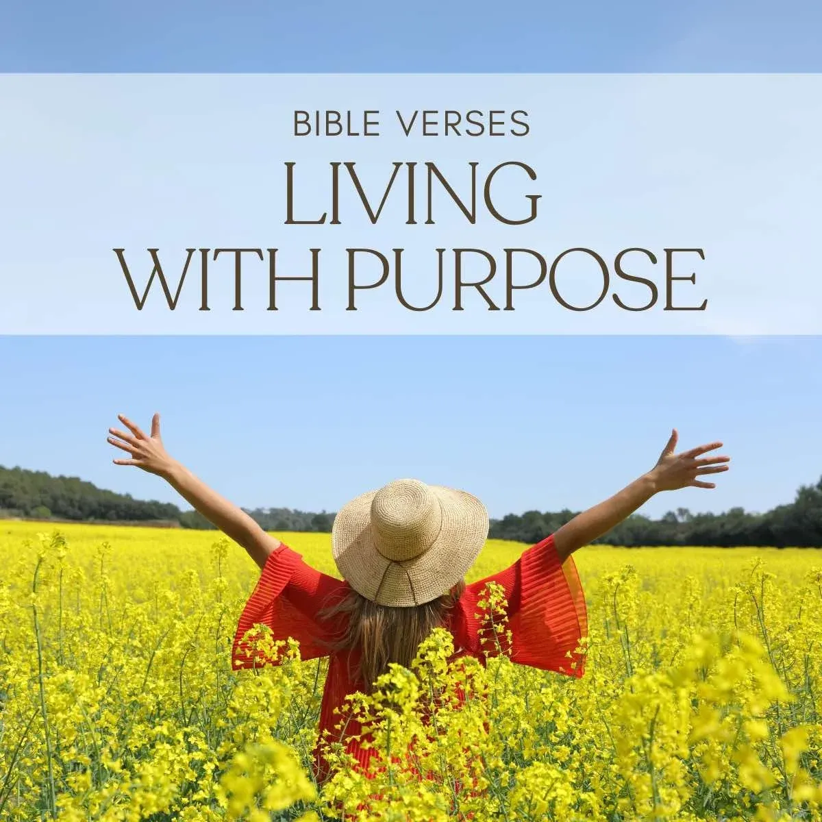 15 Bible Verses About Living With Purpose