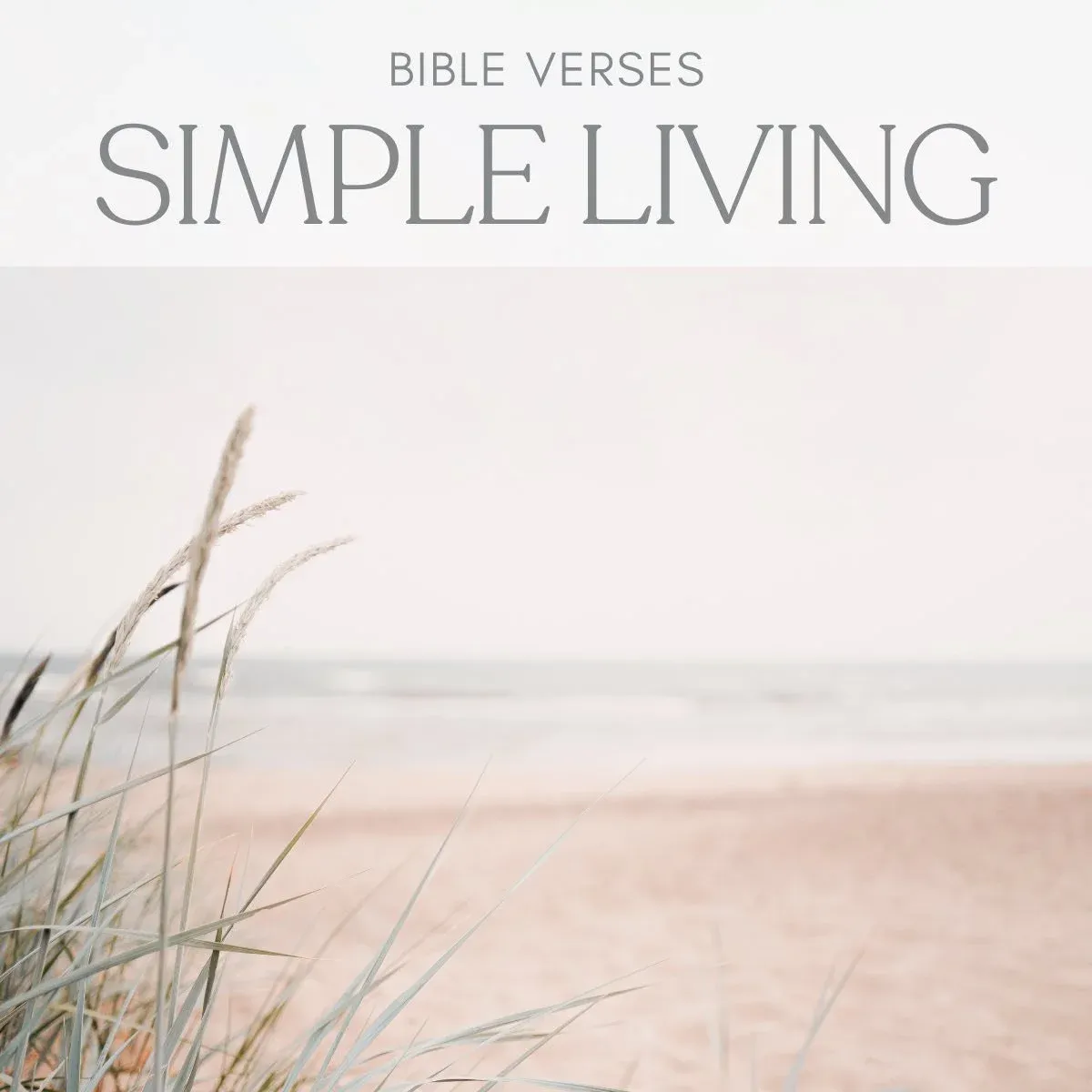 25 Bible Verses About Simple Living