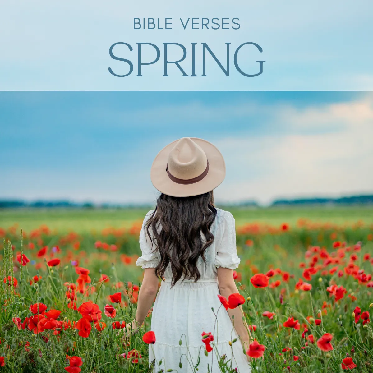 30 Bible Verses About Spring