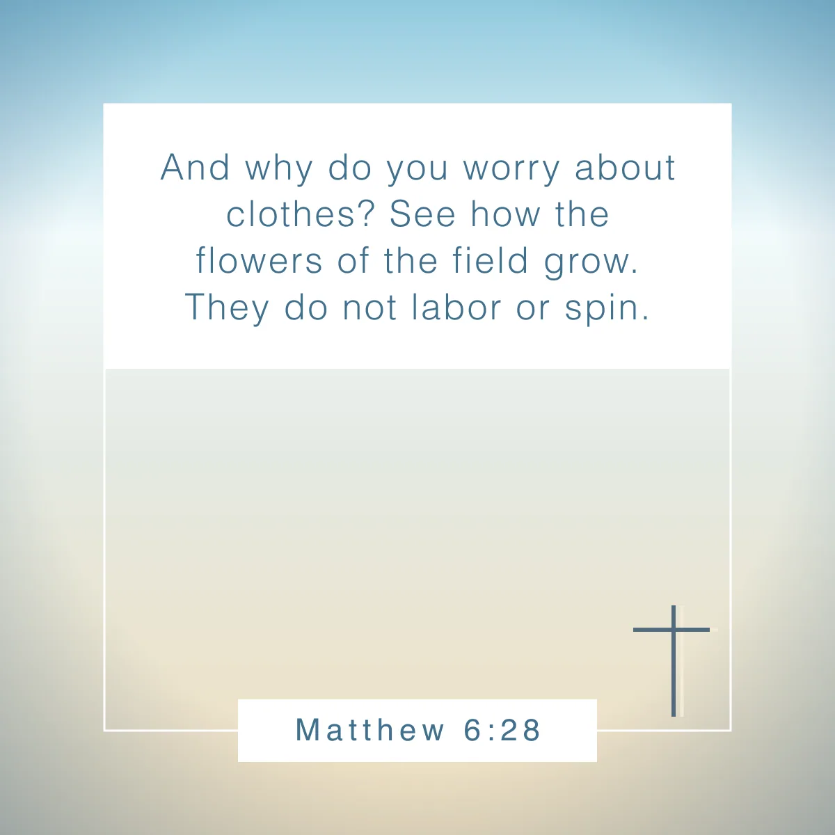 Matthew 6:28 Bible verse about spring