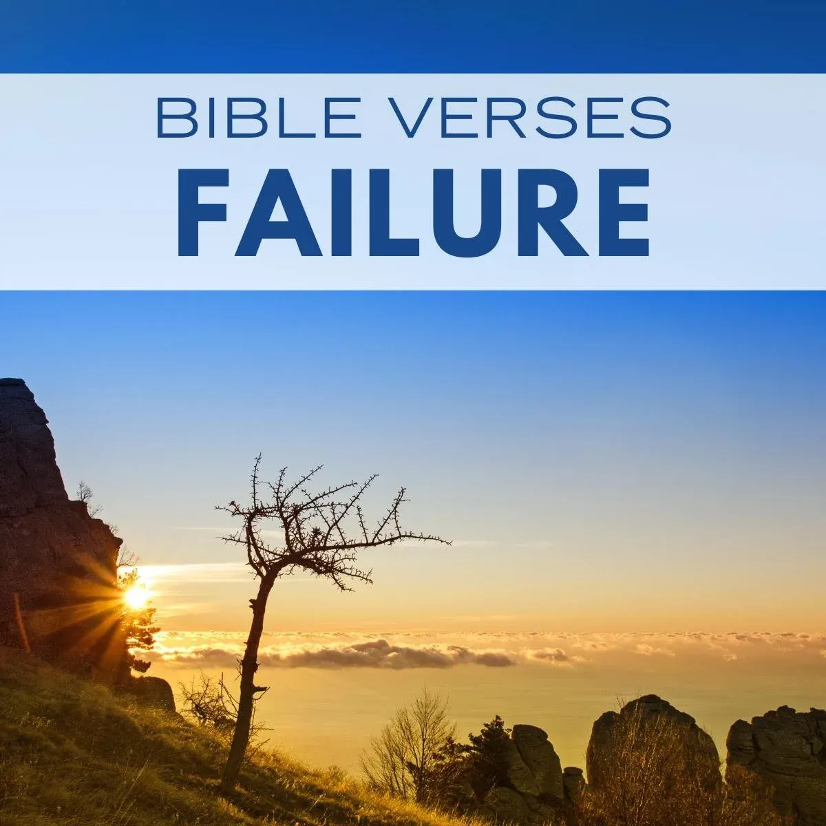 20 Bible Verses for Strength and Hope After Failure