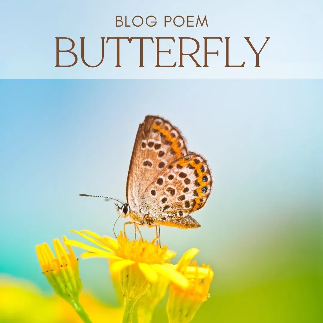 Butterfly - Poem