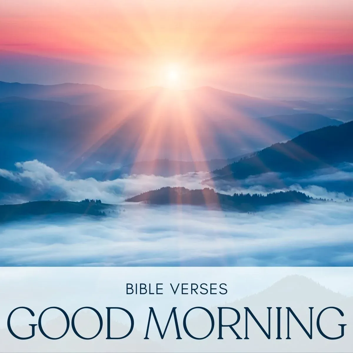 25 Bible Verses to Start Your Day