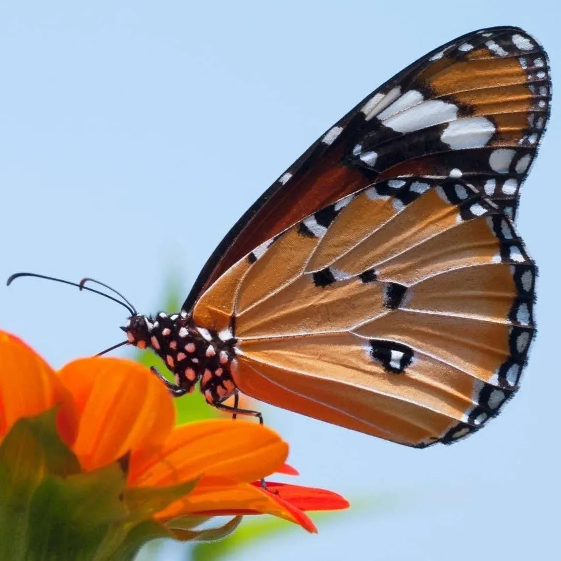 How to Be Confident in Your Identity in Christ (With Examples)