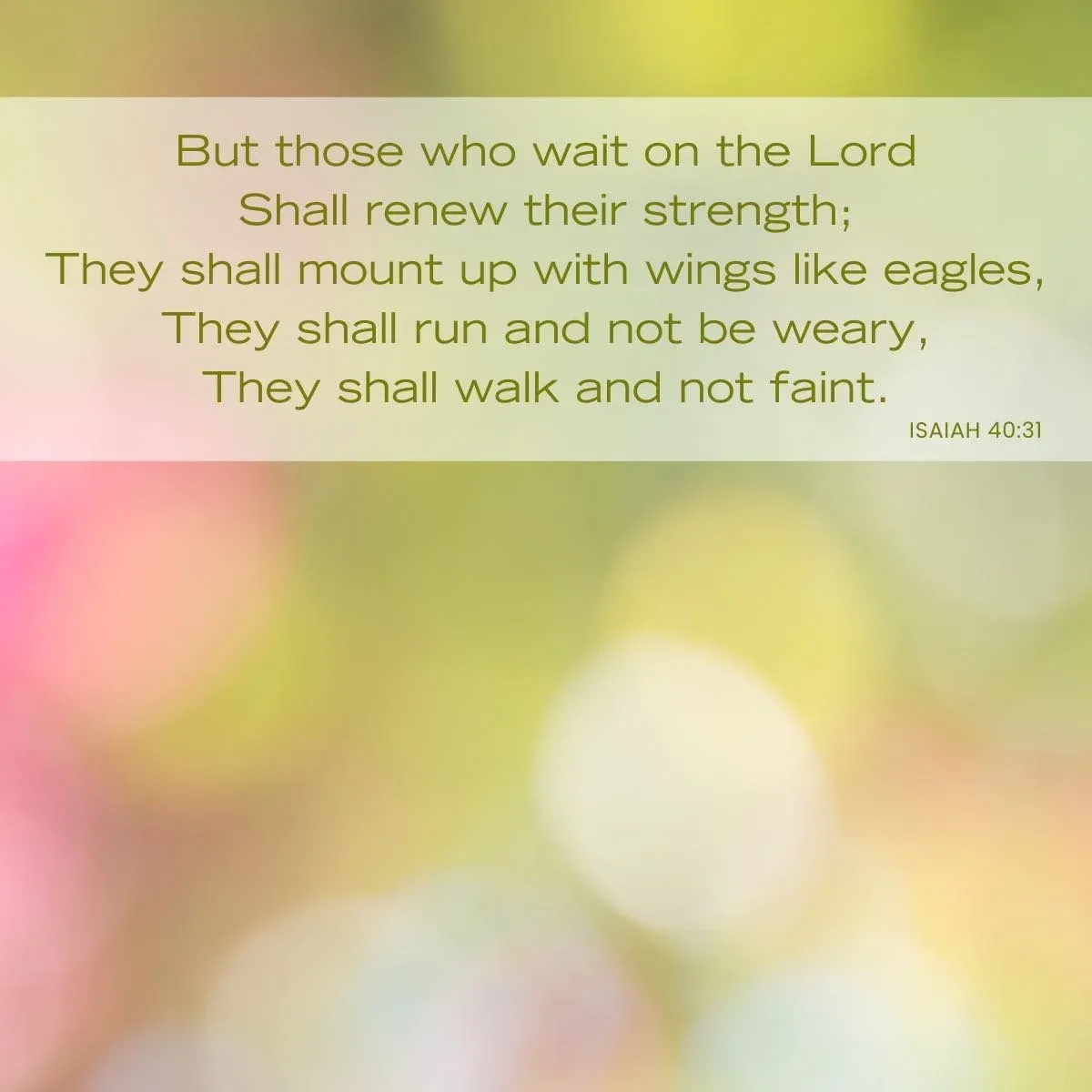 abstract pink and green background with Bible verse - Isaiah 40:31