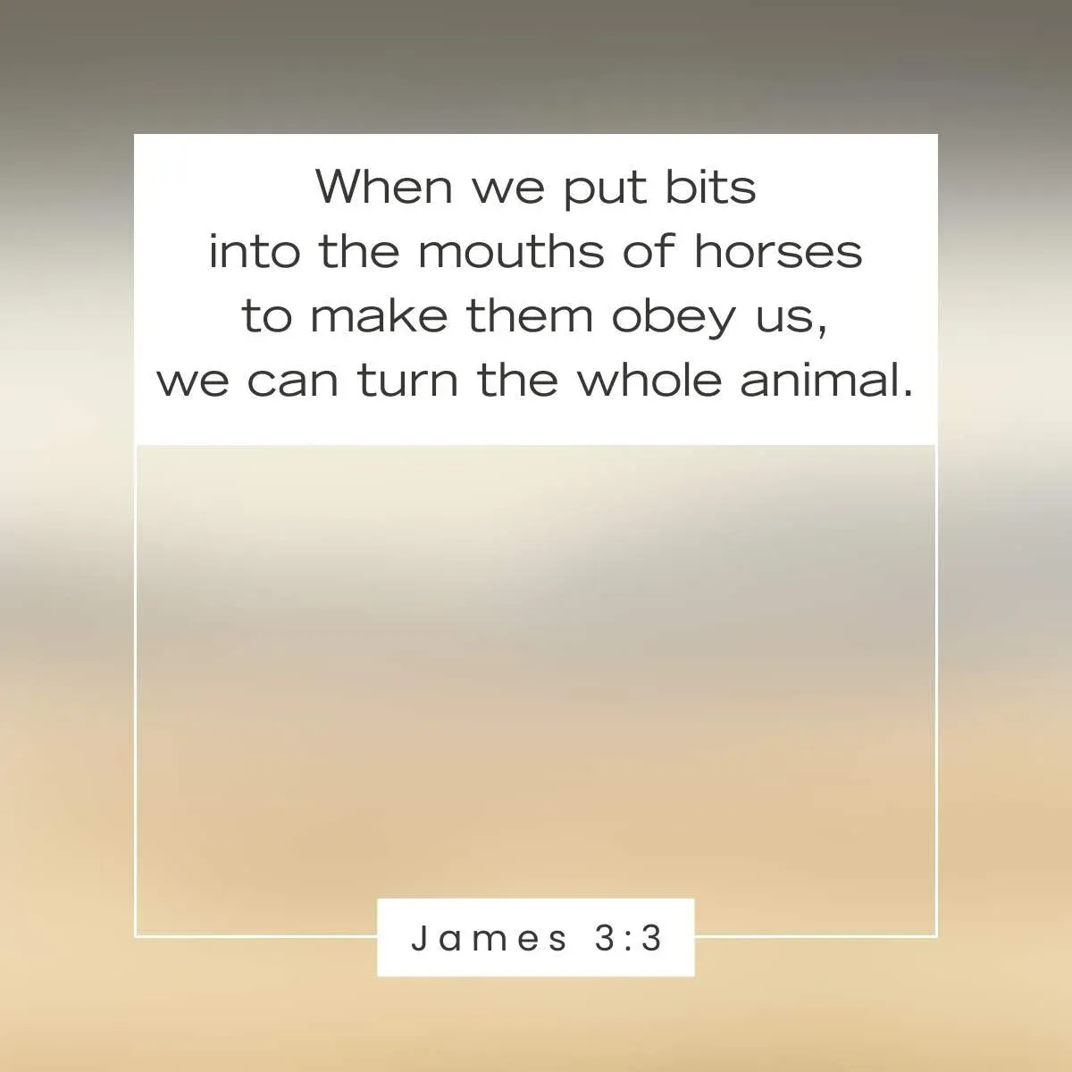 James 3:3 Bible Verse about horses
