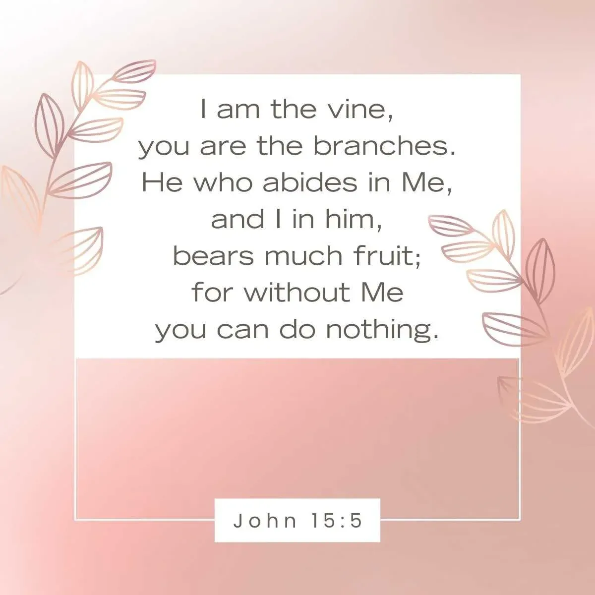 John 15:5 Bible verse
