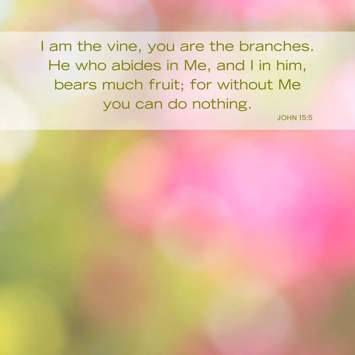 abstract pink and green background with Bible verse - John 15:5