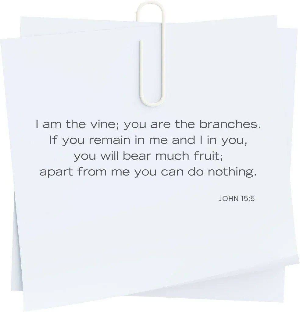 John 15:5 Bible verse — I am the vine