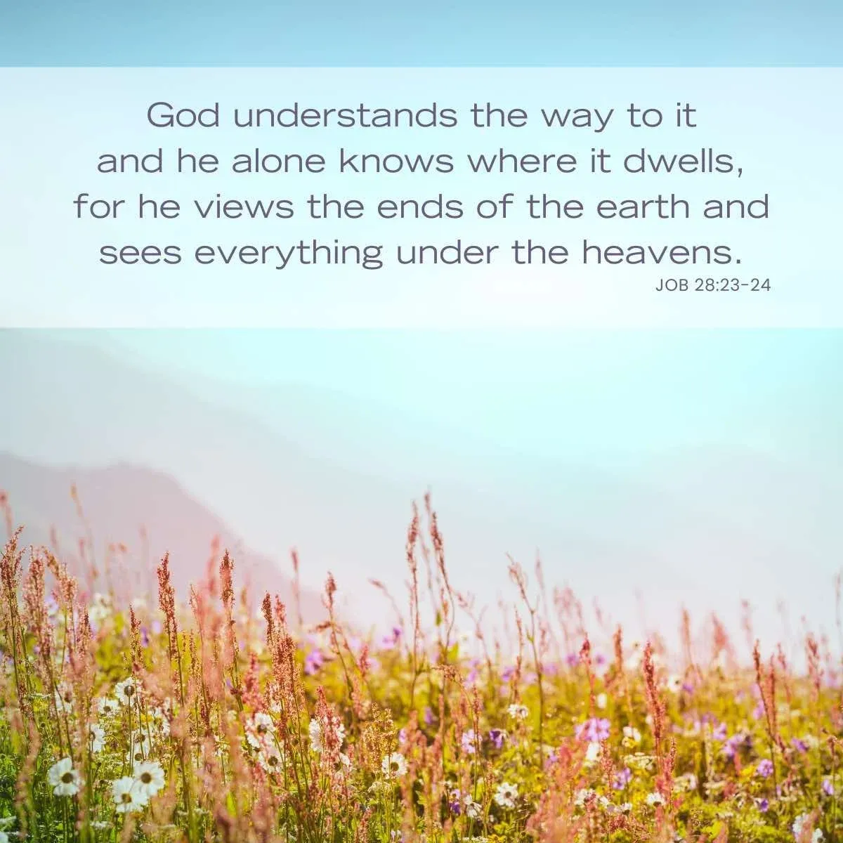 Job 28:23 Bible verse about not knowing all the answers
