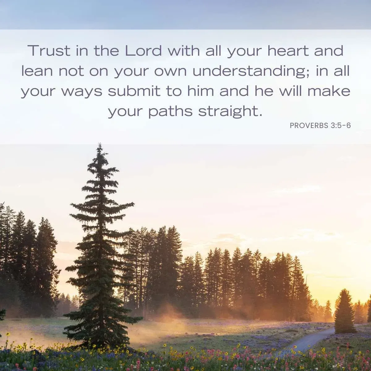 Proverbs 3:5 Bible verse about not knowing all the answers