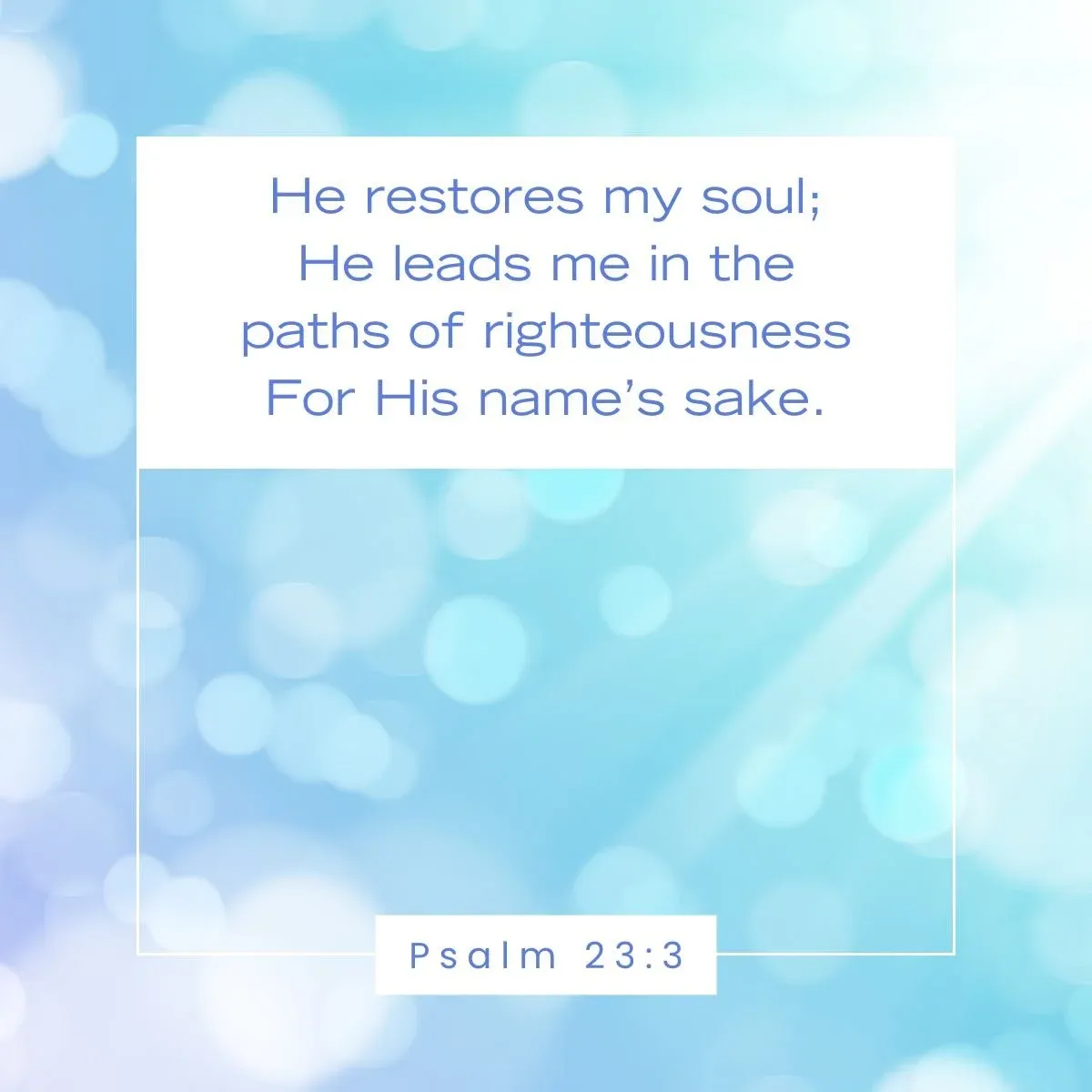 Psalm 23:3 Bible Verse