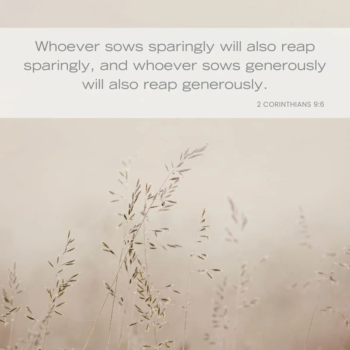 Simple living Bible verse - 2 Corinthians 9:6