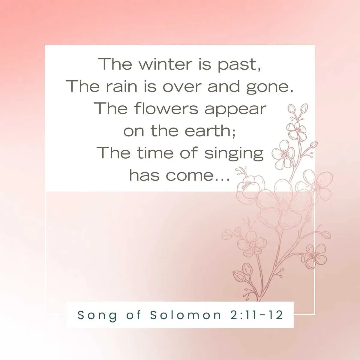 Song of Solomon 2:11 Bible verse