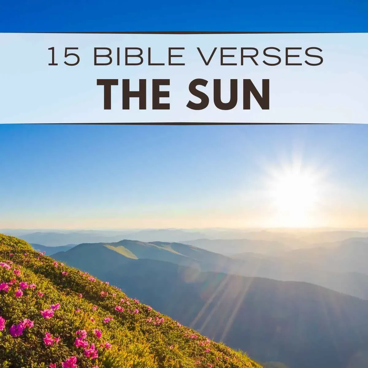 15 Bible Verses about the Sun
