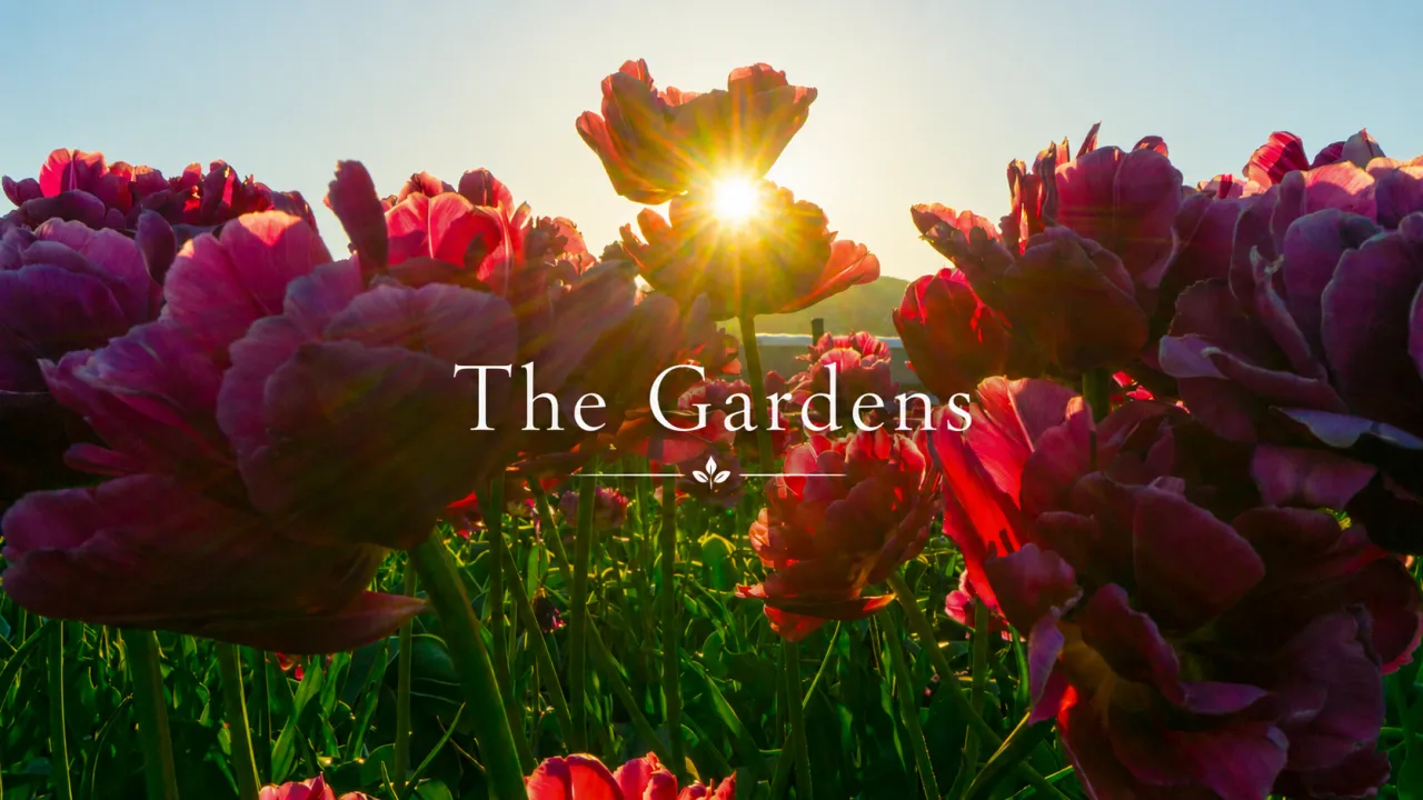 The Gardens - Poem