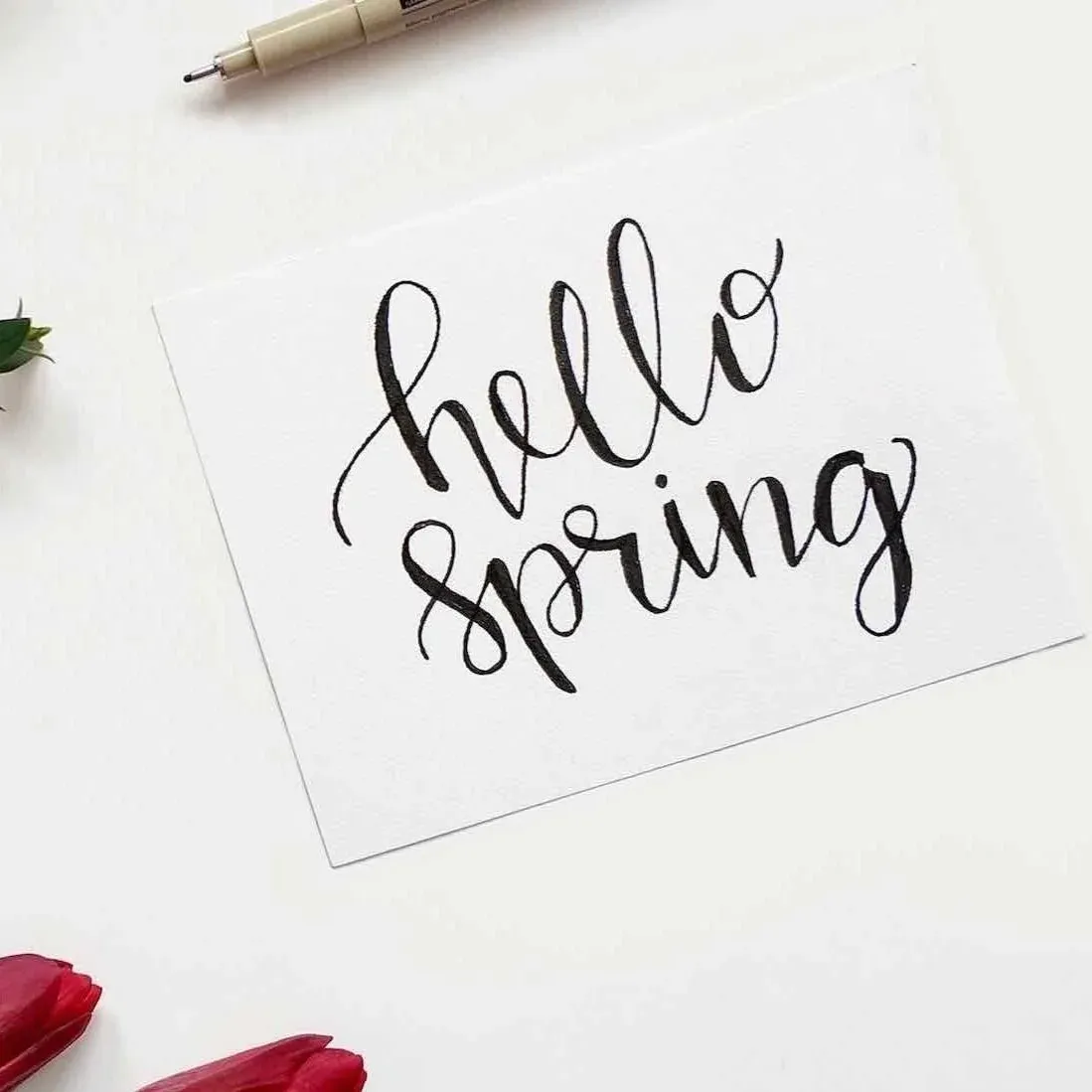 What Spring Can Teach Us